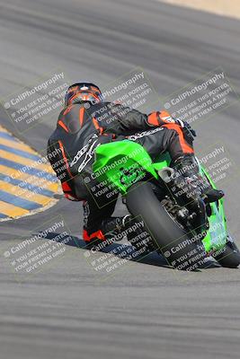 media/Feb-04-2023-SoCal Trackdays (Sat) [[8a776bf2c3]]/Turn 10 Backside (1010am)/